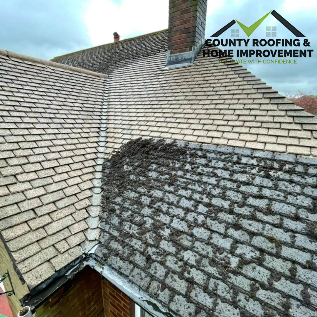Roofer: Image 4